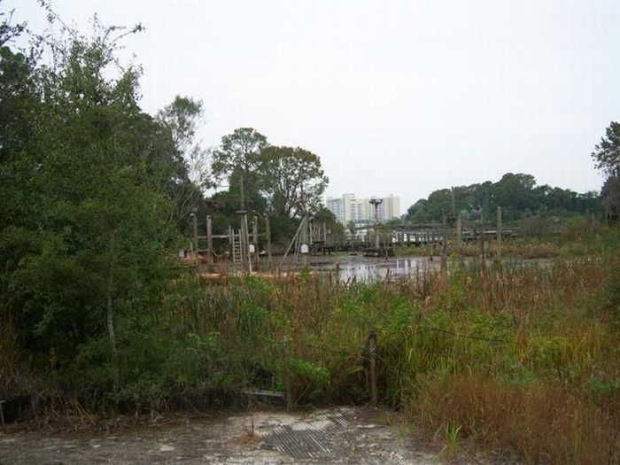 Abandoned water park at Walt Disney World (56 pics)