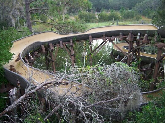 Abandoned water park at Walt Disney World (56 pics)