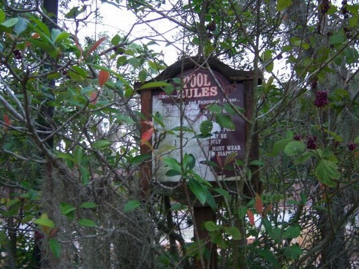 Abandoned water park at Walt Disney World (56 pics)