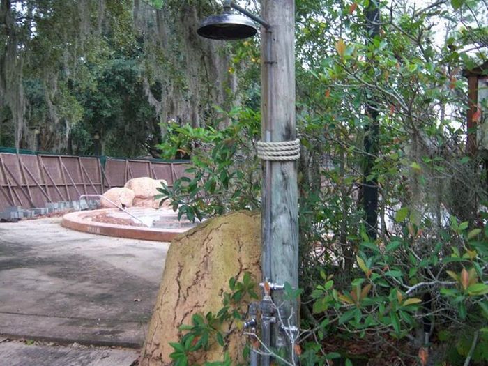 Abandoned water park at Walt Disney World (56 pics)