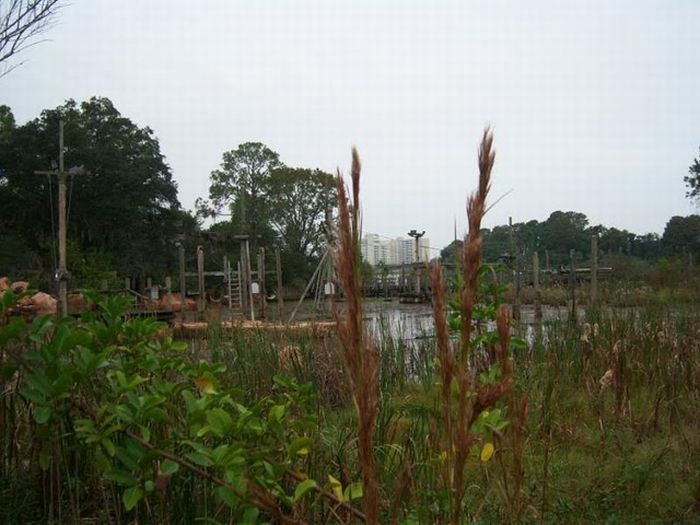 Abandoned water park at Walt Disney World (56 pics)