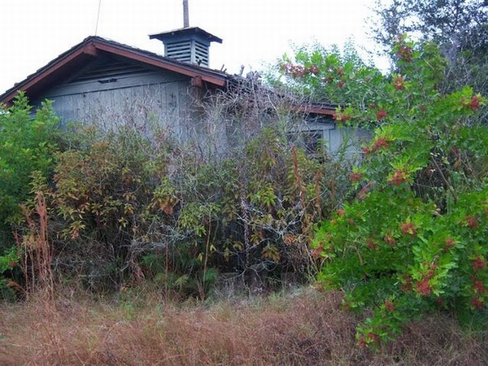 Abandoned water park at Walt Disney World (56 pics)