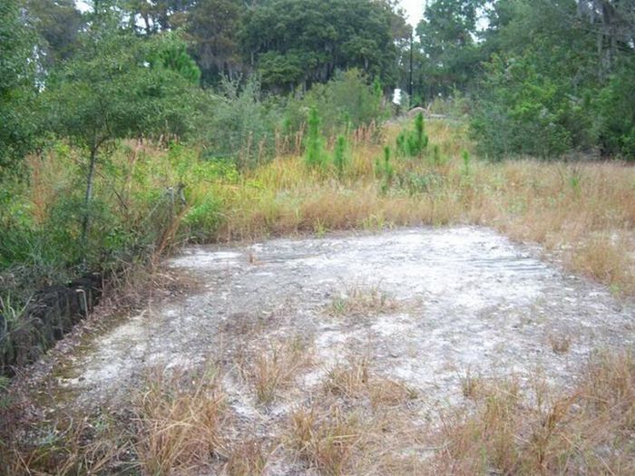 Abandoned water park at Walt Disney World (56 pics)