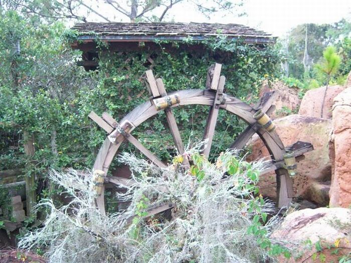 Abandoned water park at Walt Disney World (56 pics)