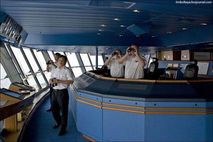 Brilliance of the Seas (37 pics)