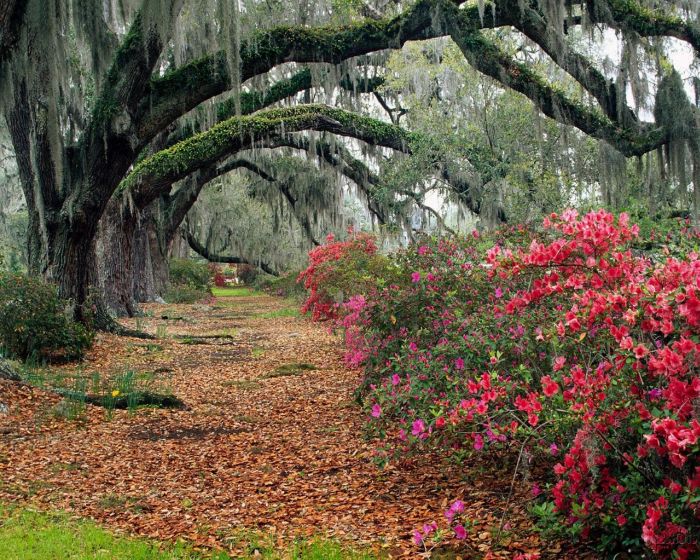 Breathtaking Photographs of Nature (29 pics)