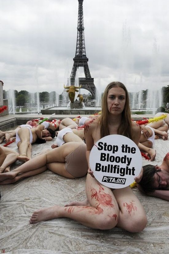 Naked Protest (15 pics)