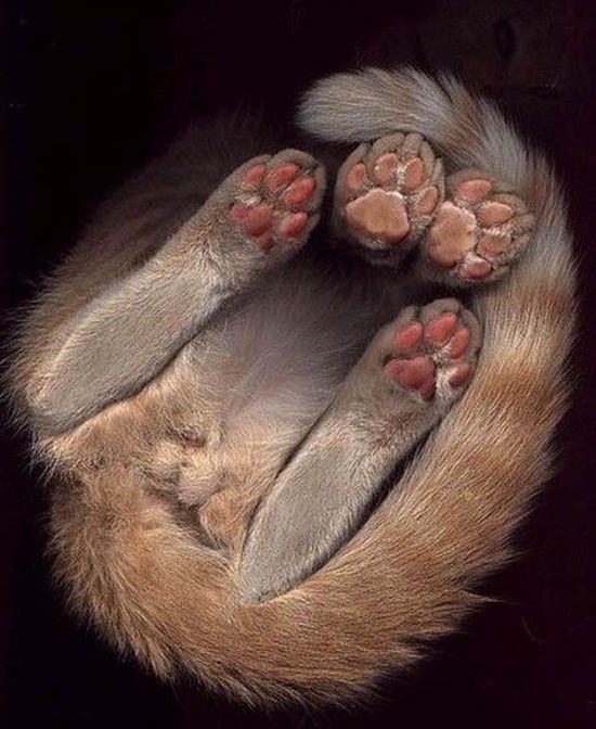 Acid Picdump (151 pics)