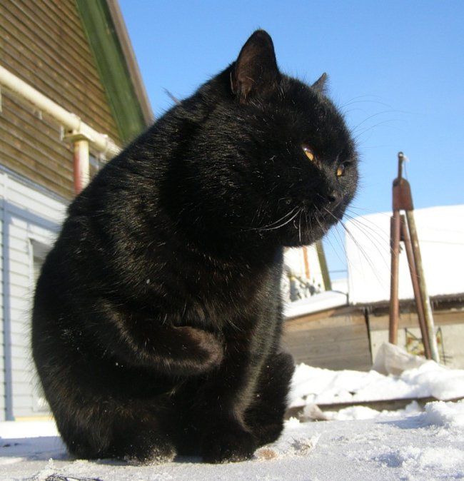 Acid Picdump (151 pics)