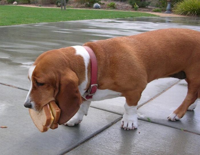 Acid Picdump (151 pics)