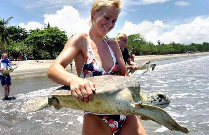 Acid Picdump (151 pics)