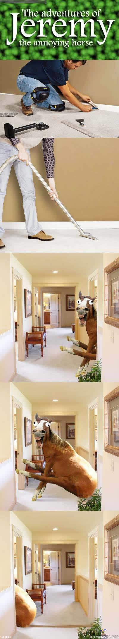 Acid Picdump (151 pics)