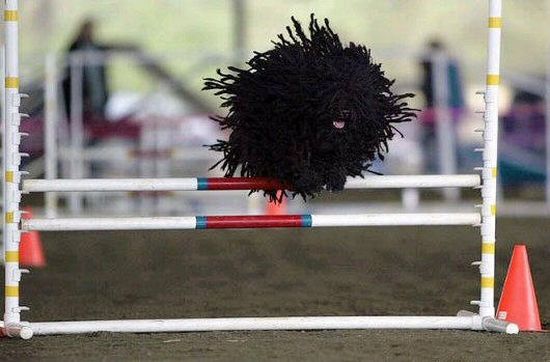 Acid Picdump (151 pics)