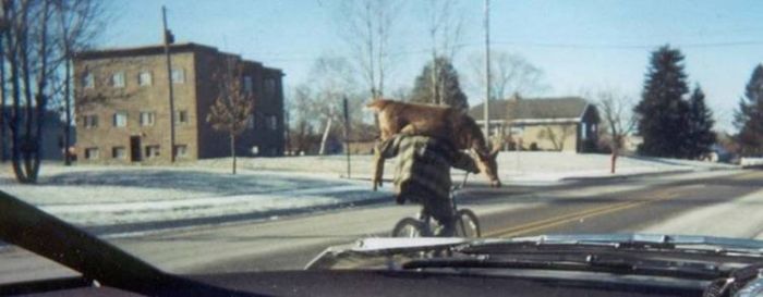 Acid Picdump (151 pics)