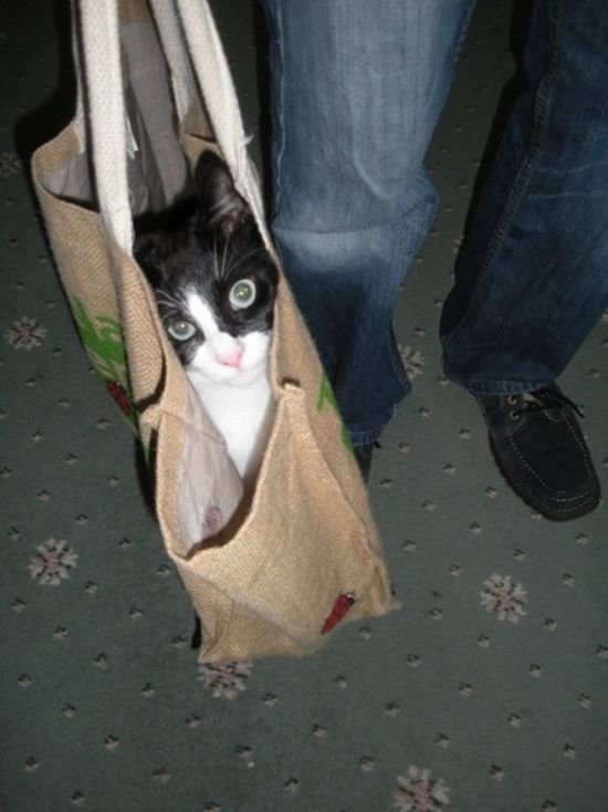 Acid Picdump (151 pics)