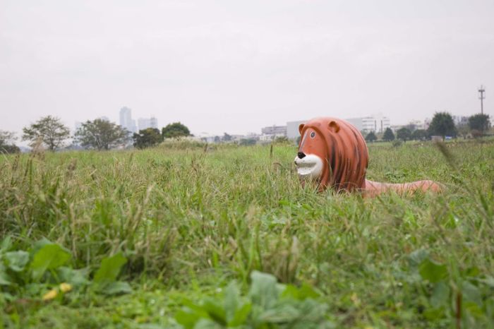 Acid Picdump (151 pics)