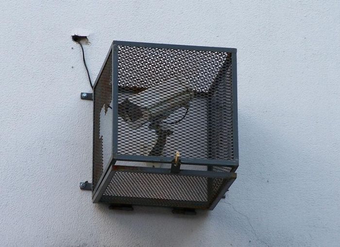 Acid Picdump (151 pics)