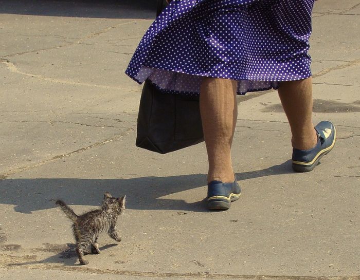 Acid Picdump (151 pics)