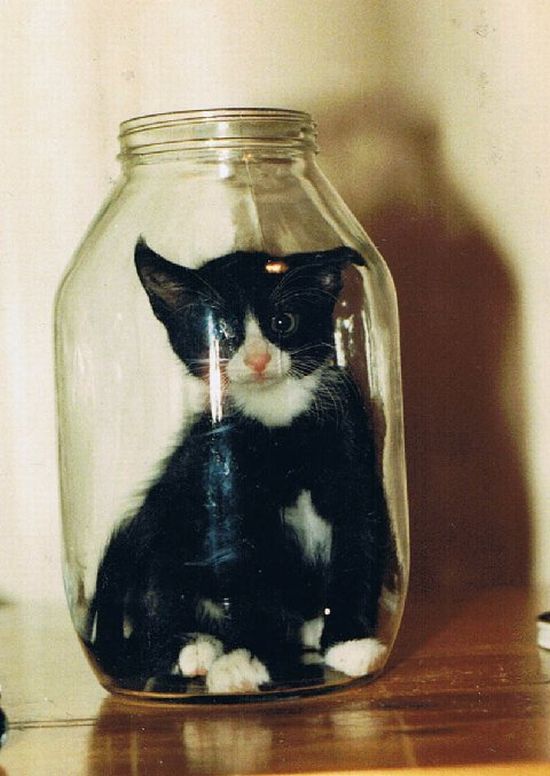 Acid Picdump (151 pics)