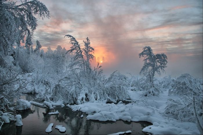 Beautiful Winter (29 pics)