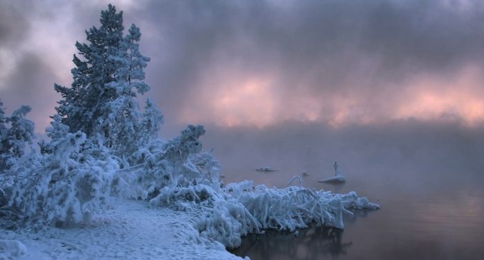 Beautiful Winter (29 pics)