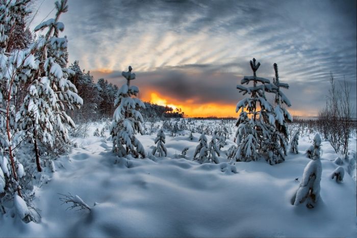 Beautiful Winter (29 pics)