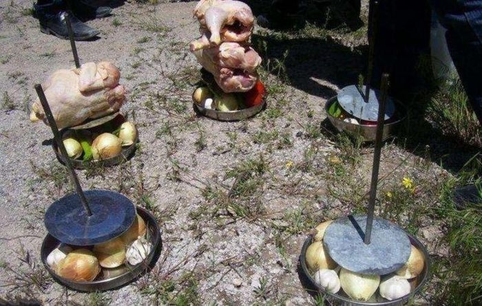 How to Cook a Chicken in Unusual Way (15 pics)