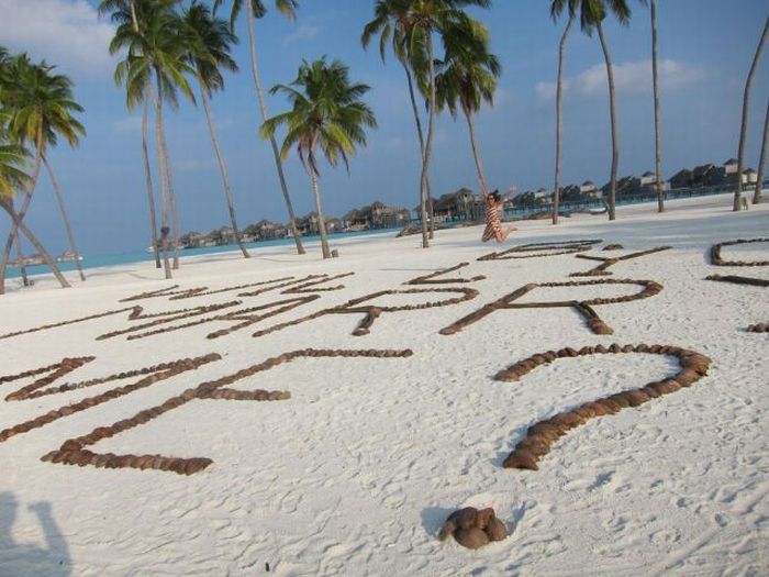 A Perfect Proposal (29 pics)
