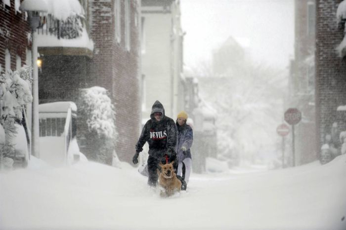 Snowfall in D.C. Area (27 pics)