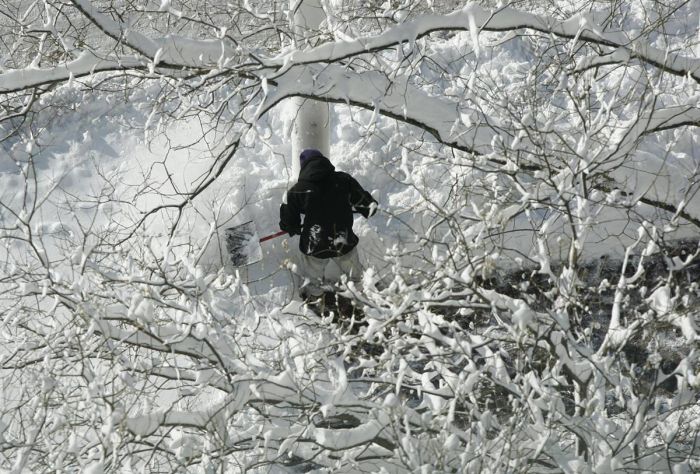 Snowfall in D.C. Area (27 pics)