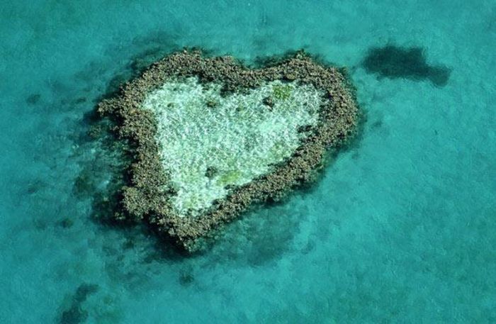 Hearts in Nature (11 pics)