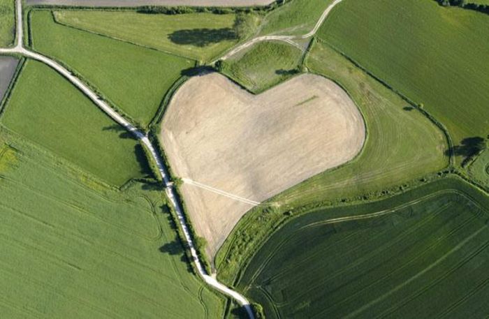 Hearts in Nature (11 pics)