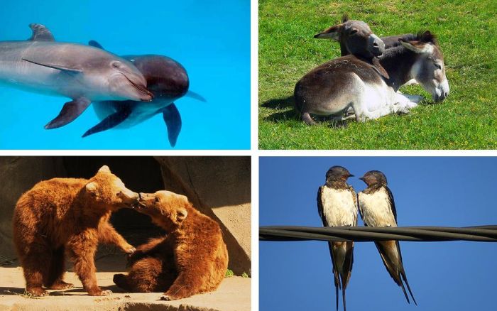 This is Love (18 pics)