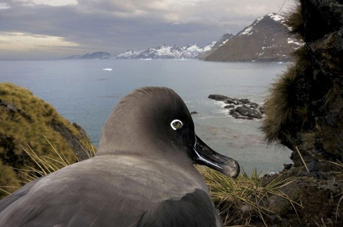 The Winners of World Press Photo 2009 (24 pics)