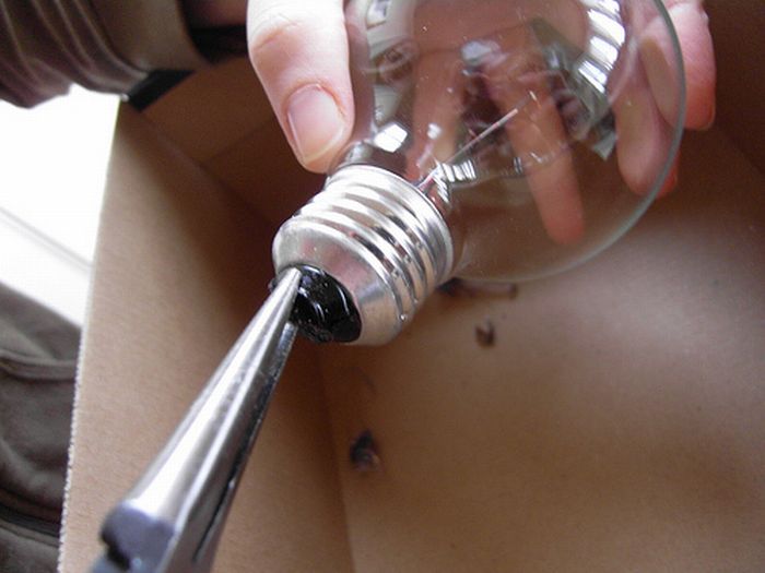 Tiny Terrarium in a Light Bulb (19 pics)