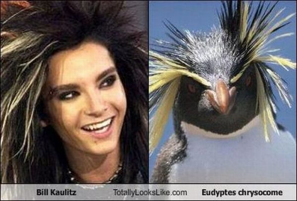 Totally Look Alikes Part II (67 pics)