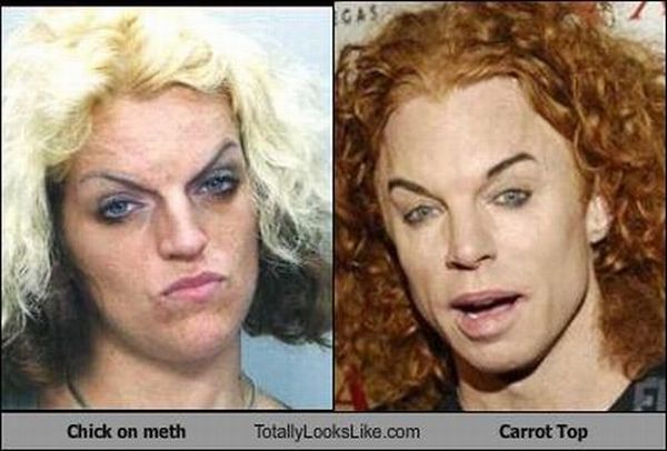 Totally Look Alikes Part II (67 pics)