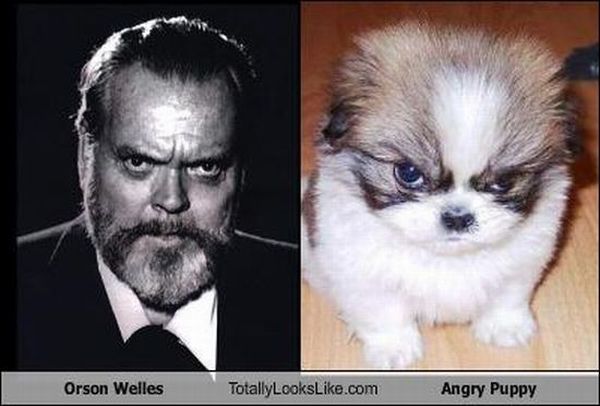 Totally Look Alikes Part II (67 pics)