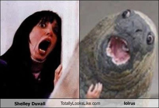 Totally Look Alikes Part II (67 pics)