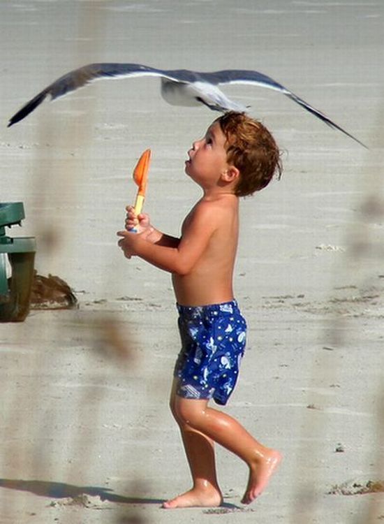 Funny Summer Pictures (55 pics)