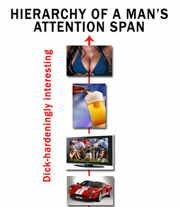 Hierarchy of a Man's Attention Span (10 pics)