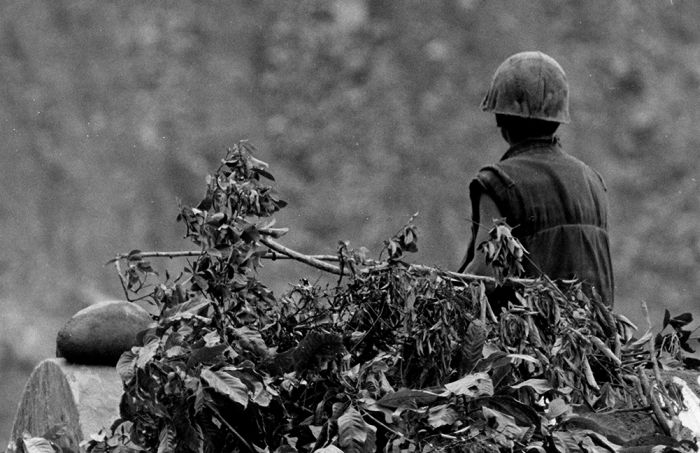 Vietnam War 1968-69 (51 pics)