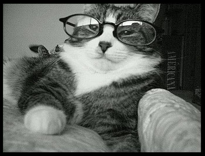 Animals with Glasses (24 pics)