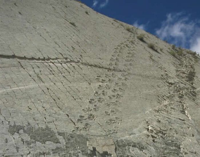 The Dinosaur Wall of Bolivia (7 pics)