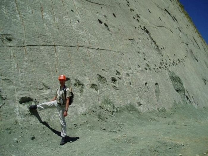 The Dinosaur Wall of Bolivia (7 pics)