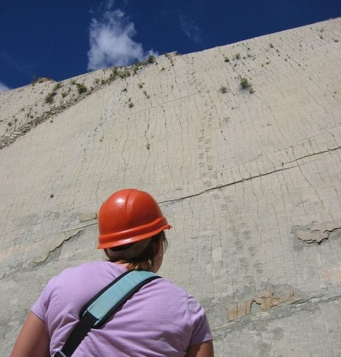 The Dinosaur Wall of Bolivia (7 pics)