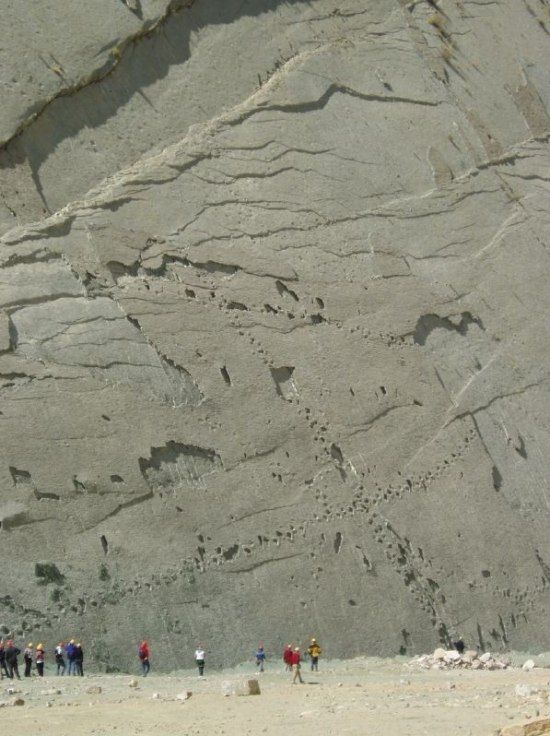 The Dinosaur Wall of Bolivia (7 pics)