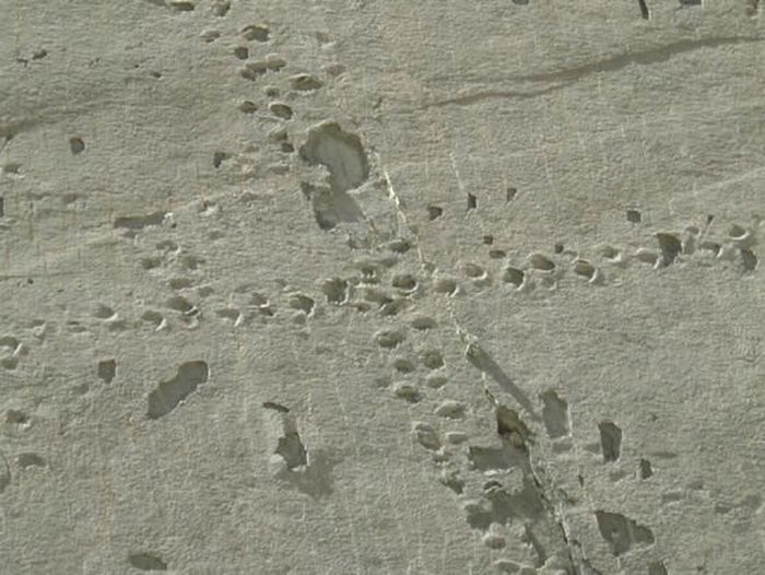 The Dinosaur Wall of Bolivia (7 pics)
