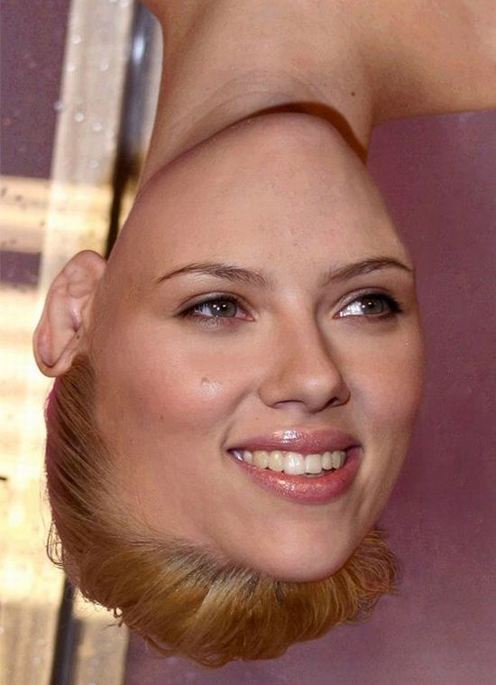 Famous Faces Upside Down (60 pics) Famous Faces Upside Down (60 pics)