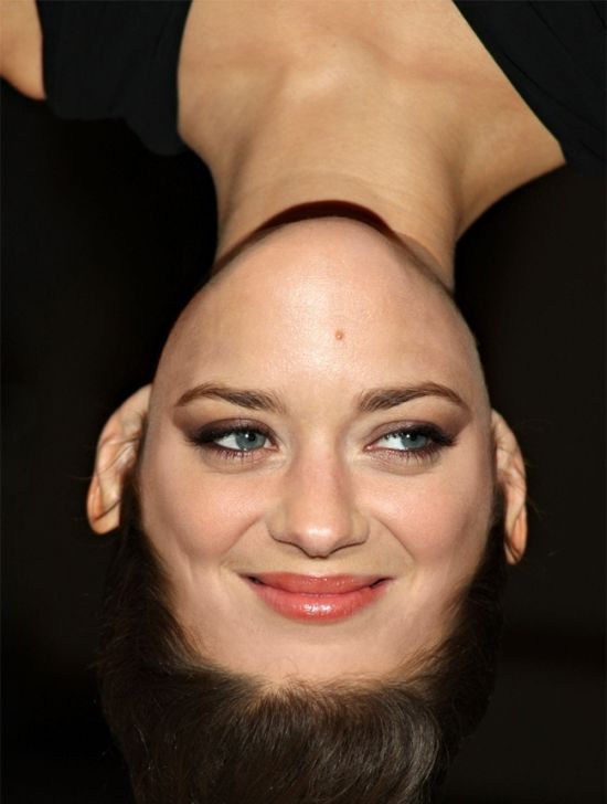 Famous Faces Upside Down (60 pics) Famous Faces Upside Down (60 pics)